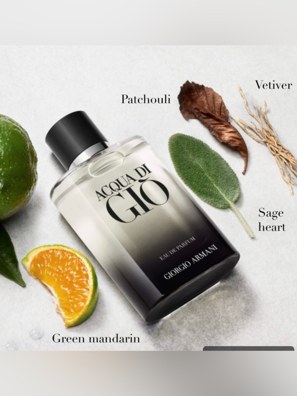NWT Armani Acqua di Gio